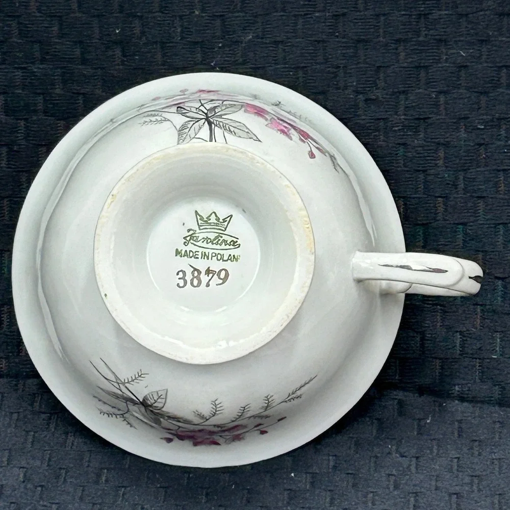 Karolina Poland China Teacup Pink Floral‎ Silver Trim Vintage Porcelain 3879 7
